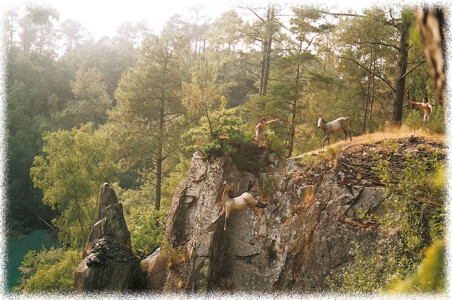 Parc de la Préhistoire
